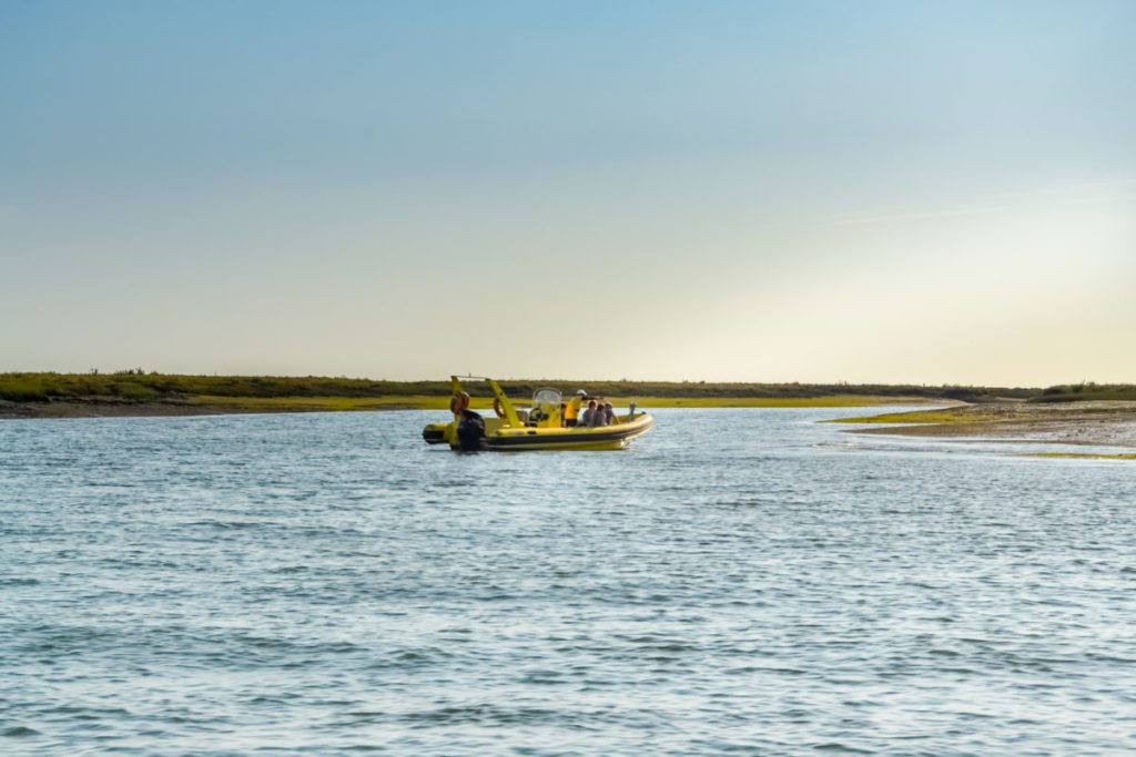 DSC_0022 (2)