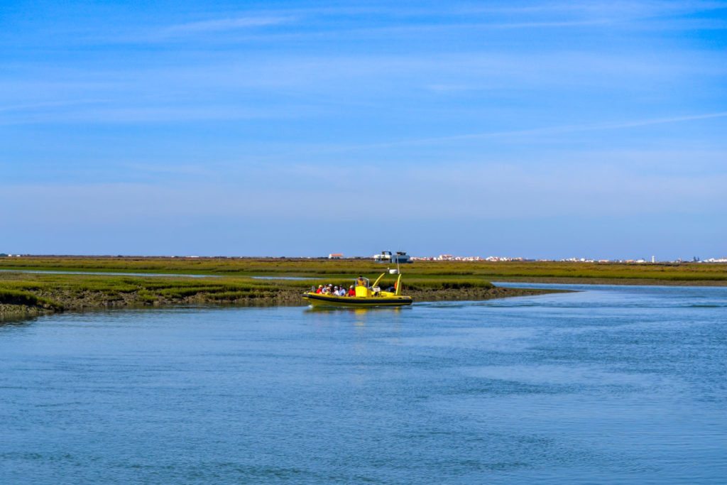 DSC_0055 (2)
