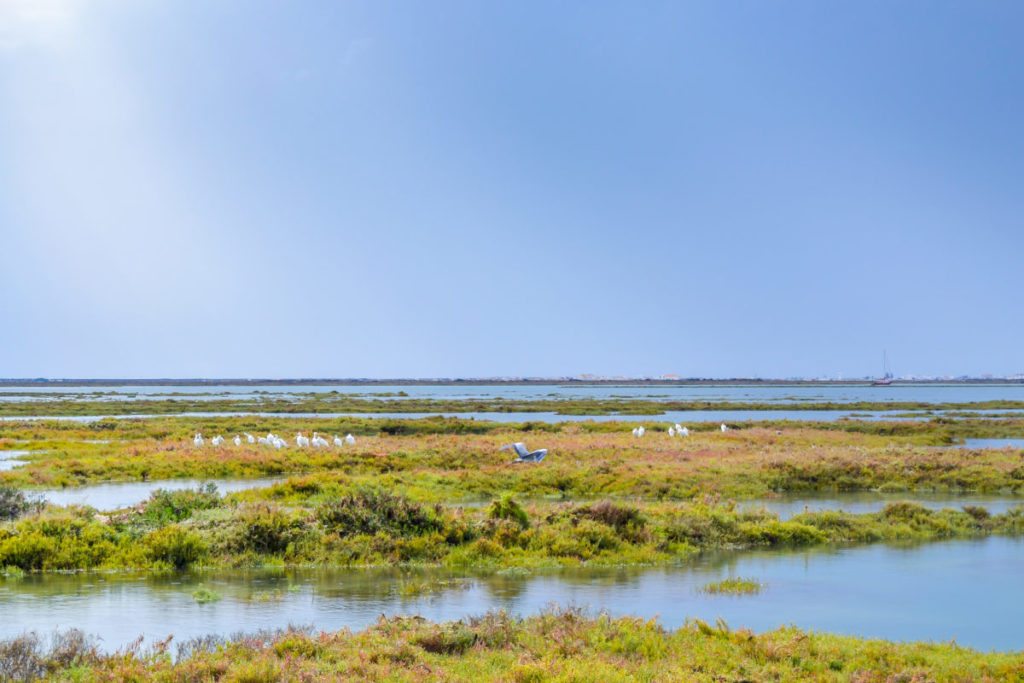 DSC_0190