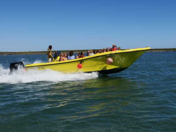 Boat Schedule